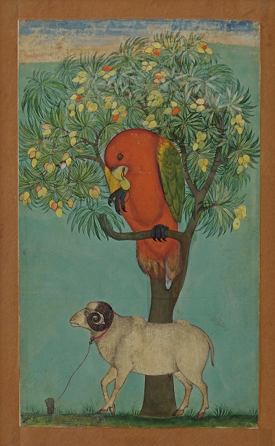 A Parrot Perched on a Mango Tree, a Ram Tethered Below. Golconda, ca. 1630–70. Ink, opaque watercolor, and gold on paper. 9⅜ × 5½ in. Jagdish and Kamla Mittal Museum of Indian Art, Hyderabad (76.438)